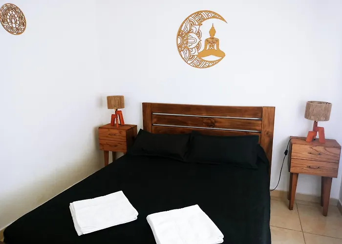 Sacoa Premium